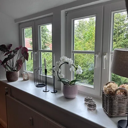 4 Wunderschoene Ferienwohnungen Im Kavaliershaus Schwerin  Exterior photo