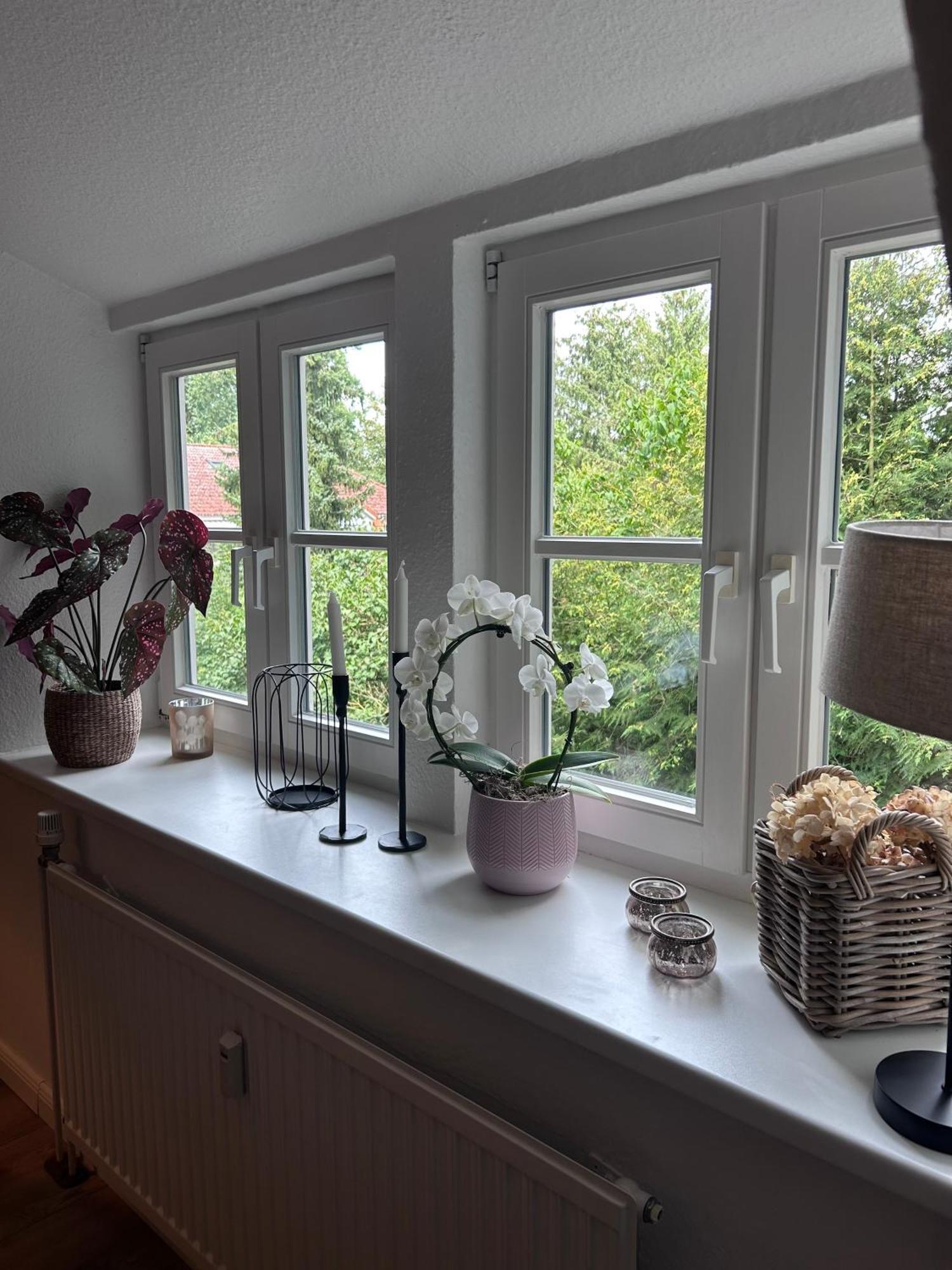 4 Wunderschoene Im Kavaliershaus *